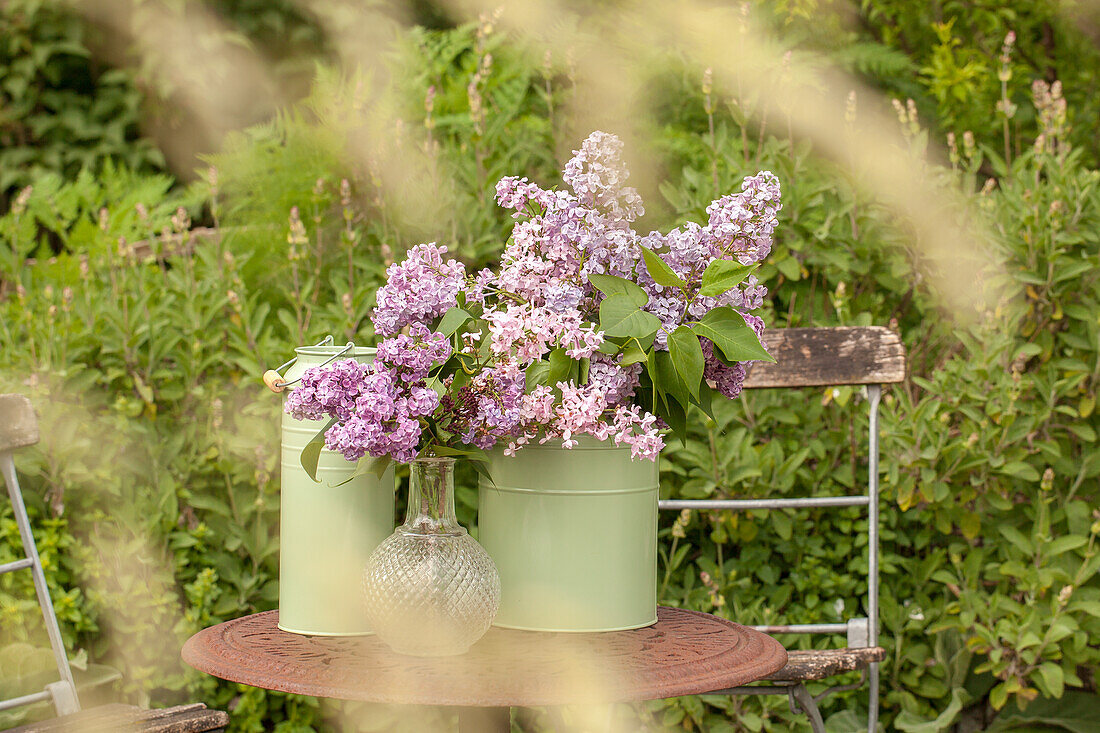 Lilac flowers