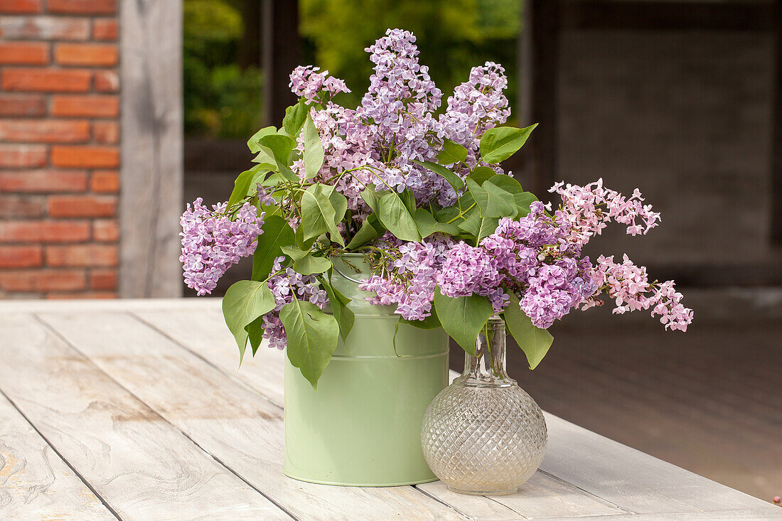 Lilac flowers