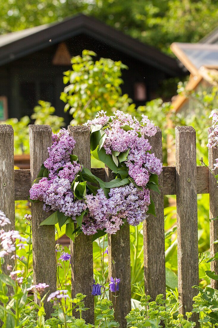 Lilac wreath on the fence