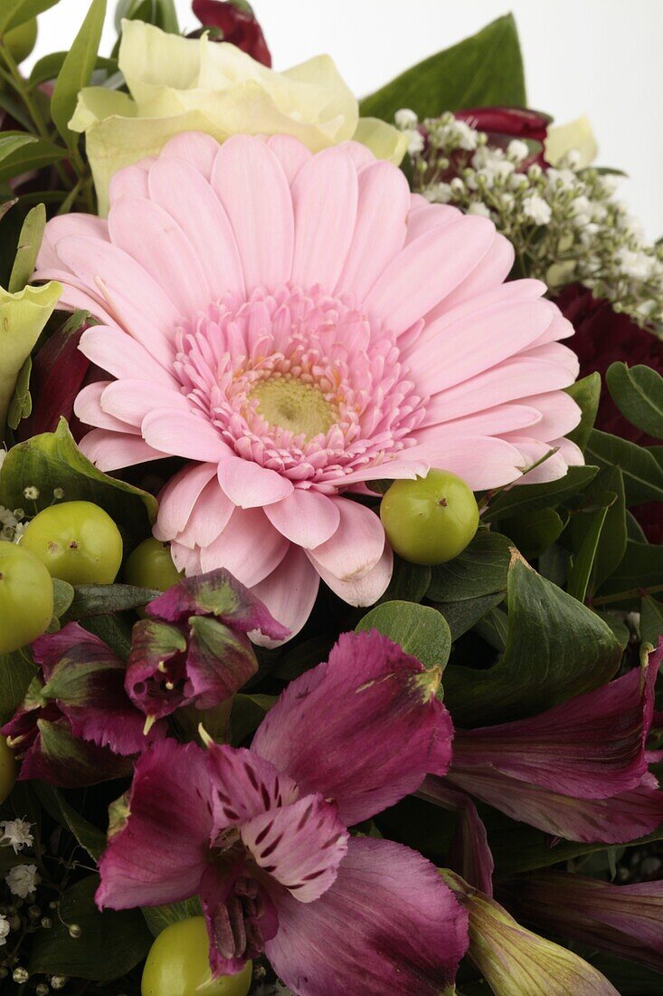 Bouquet pink Gerbera