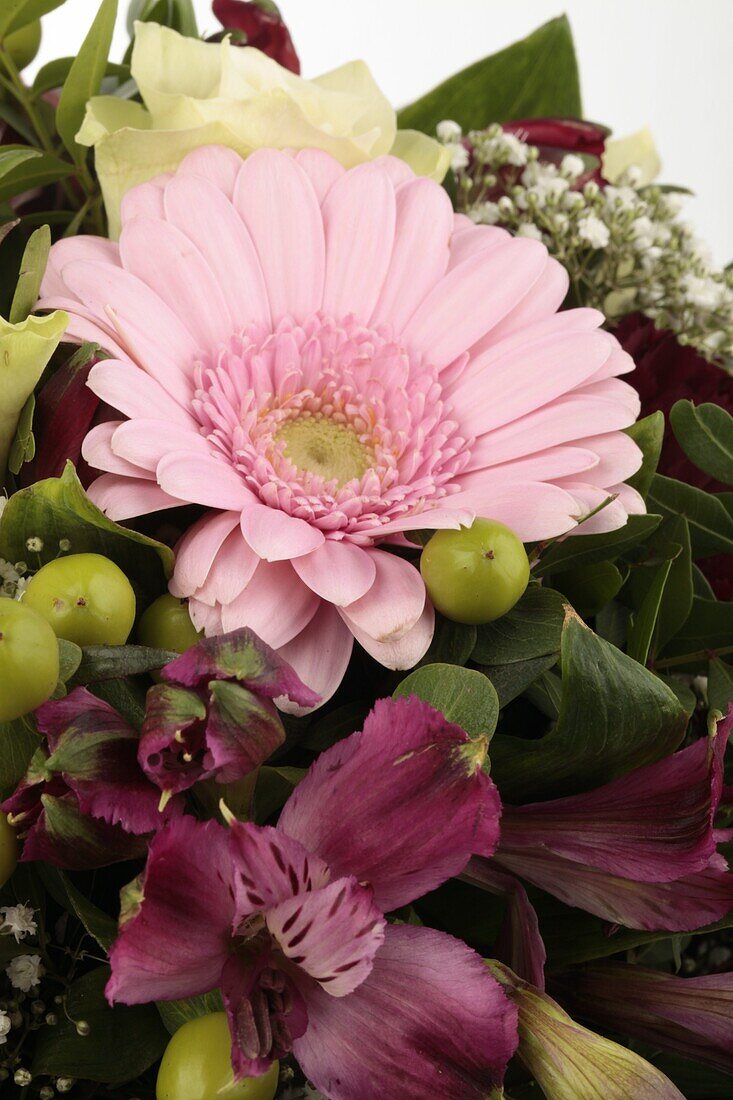 Strauß Rosa Gerbera