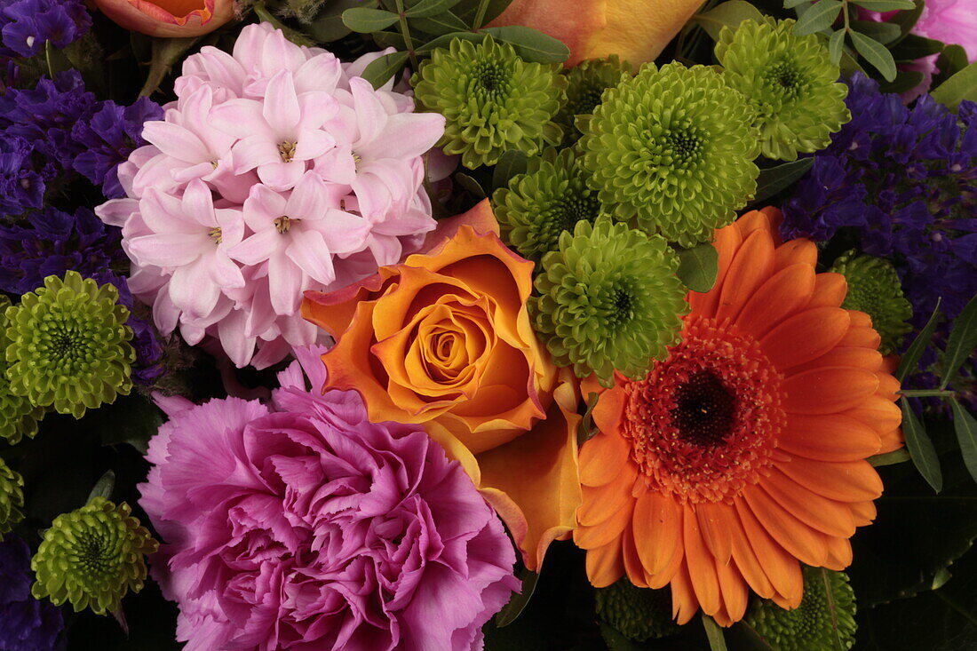 Hyachinthus, Chrysanthemum, Rosa, Dianthus, Gerbera