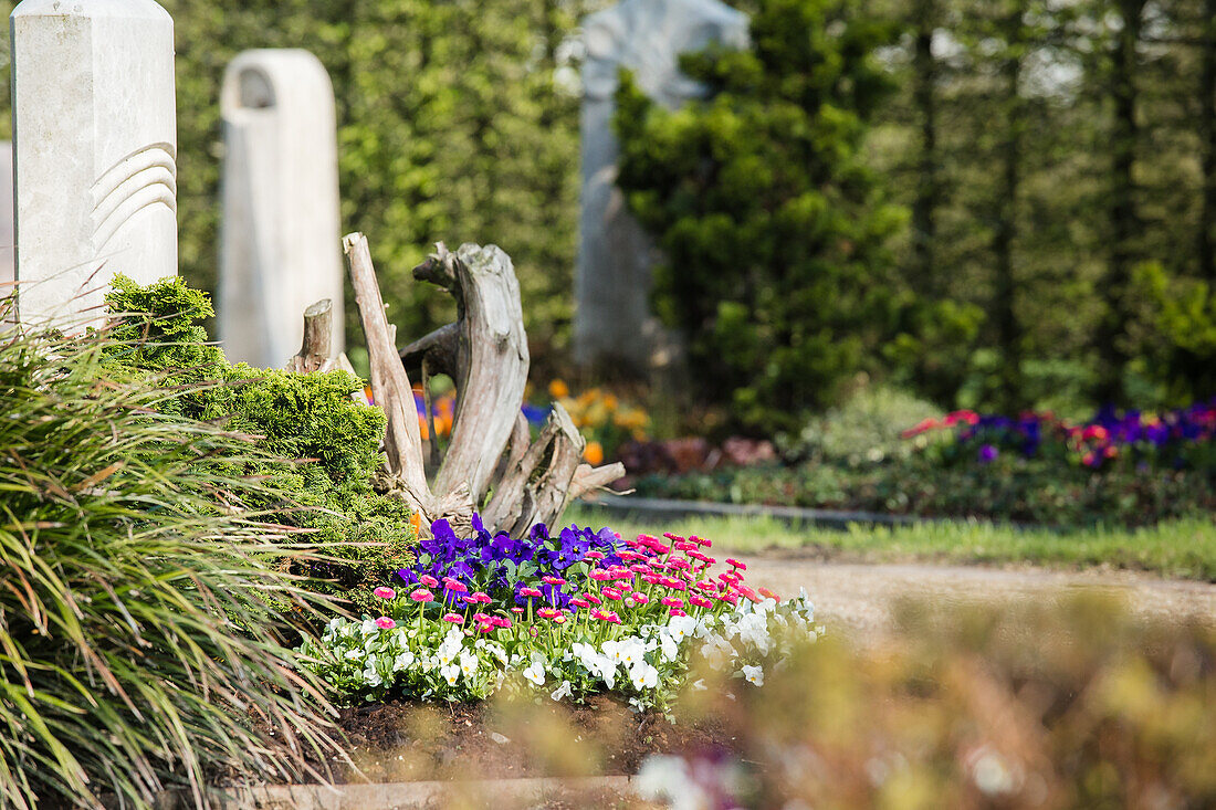 Spring grave planting