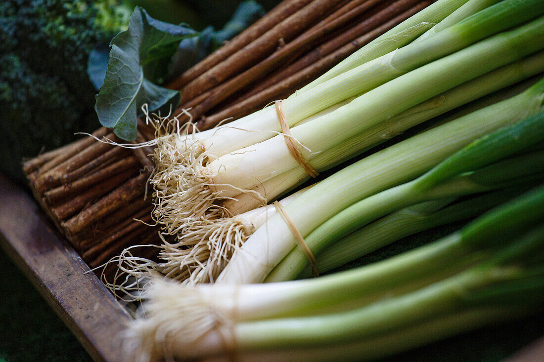 Allium porrum