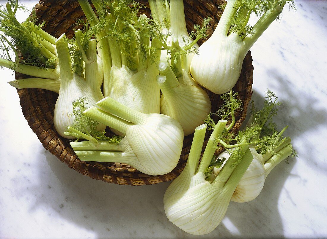 Many Fennel Bulbs Spilling From a Basket