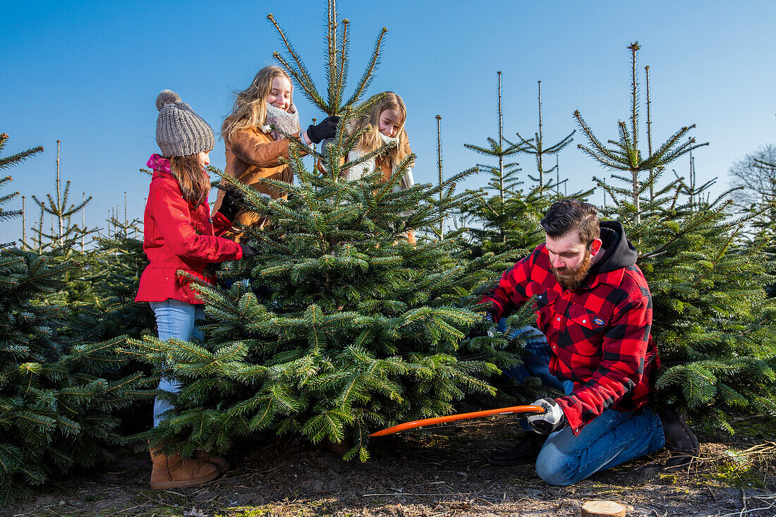 Christmas tree shopping with the family