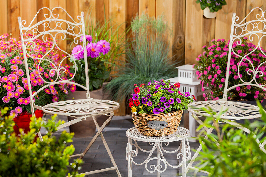 Terrace with colourful summer flowers