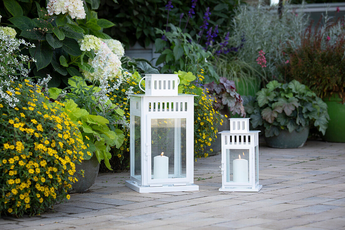 Lanterns in the garden