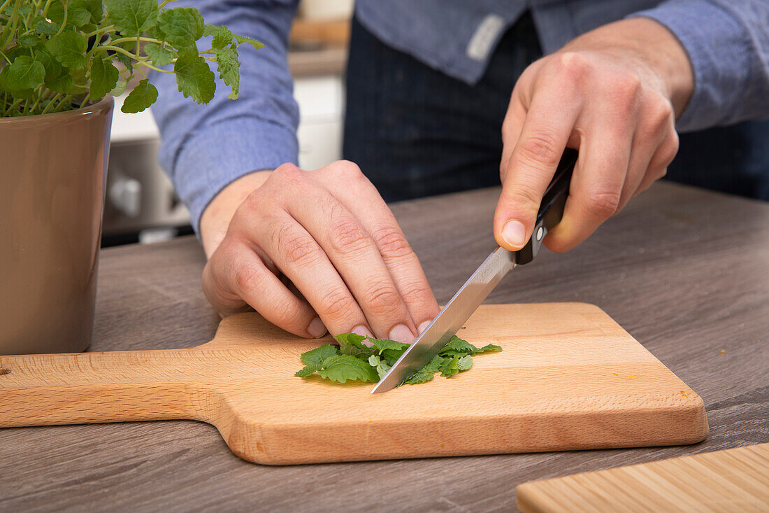 Cut lemon balm