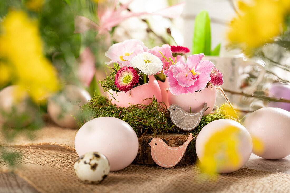 Easter ambience with Bellis