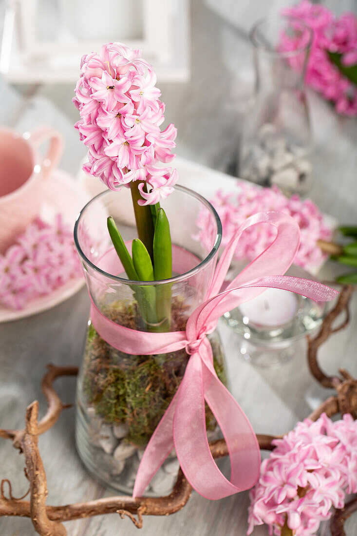 Hyacinthus