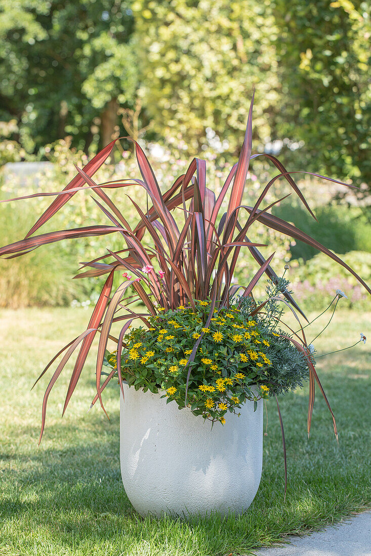 Bepflanzter Blumenkübel