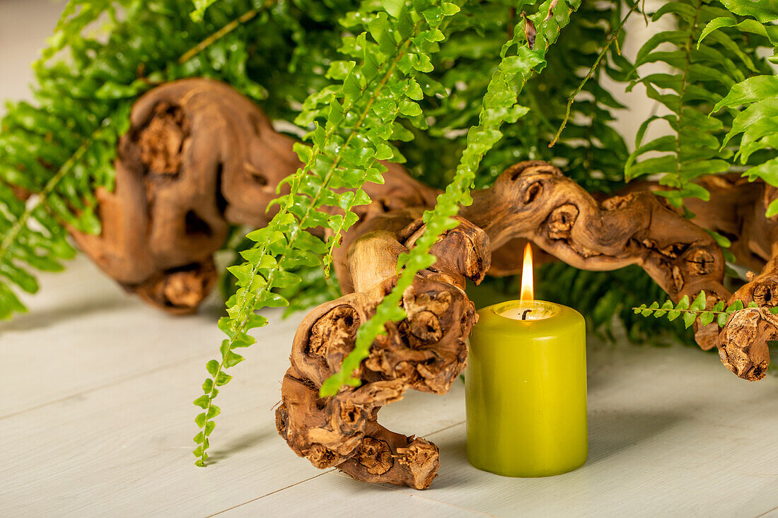 Candle under fern leaves
