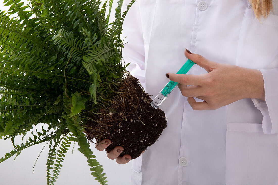 Plant doctor - plant with syringe