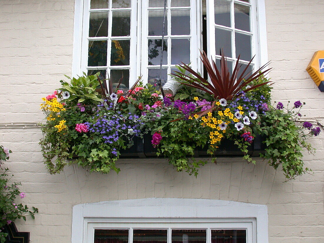 Balcony planting