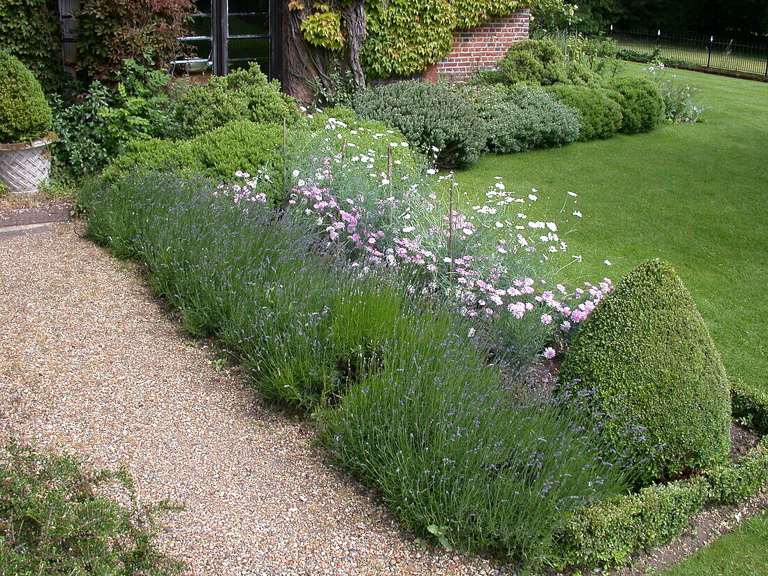 Bed with lavender