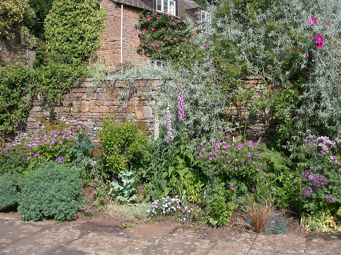 Flowerbed in front of a wall