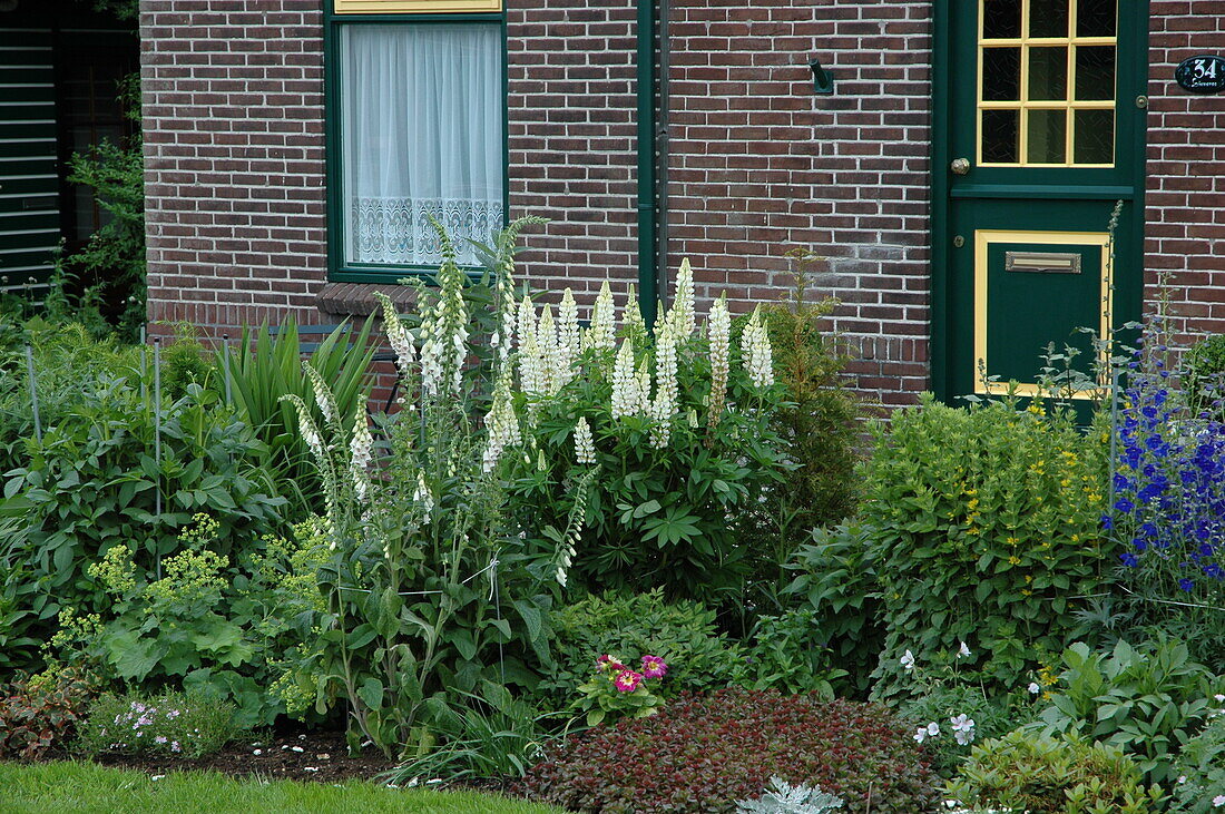 Flower bed in front of the house