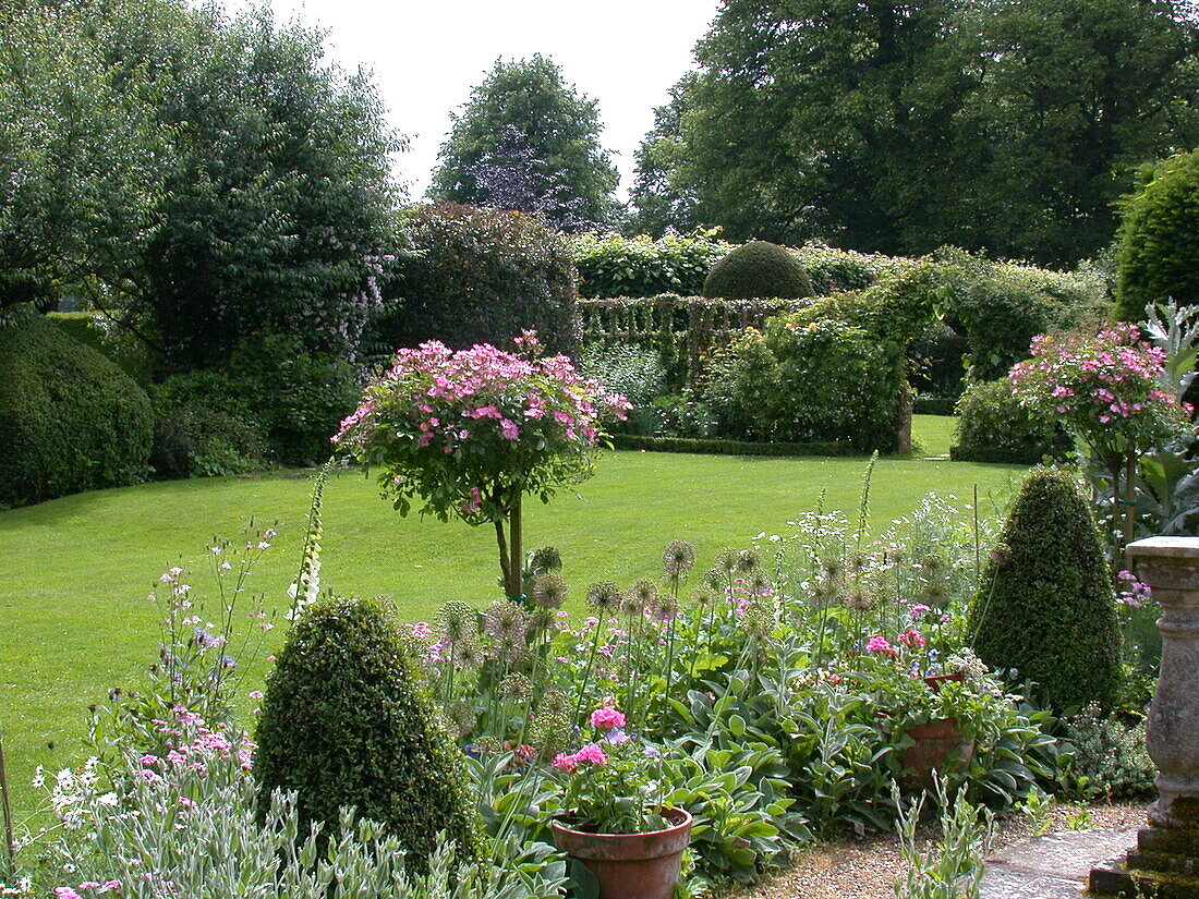 Gartenansicht mit Rosenstämmchen