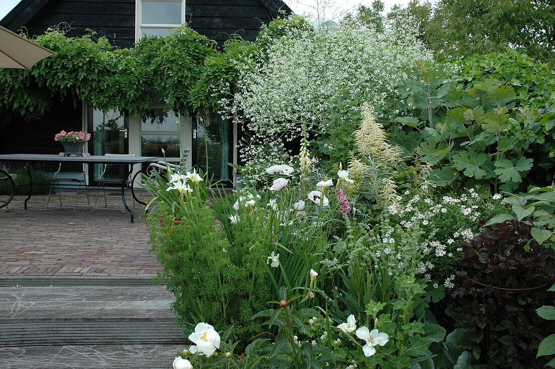 Garden view with terrace