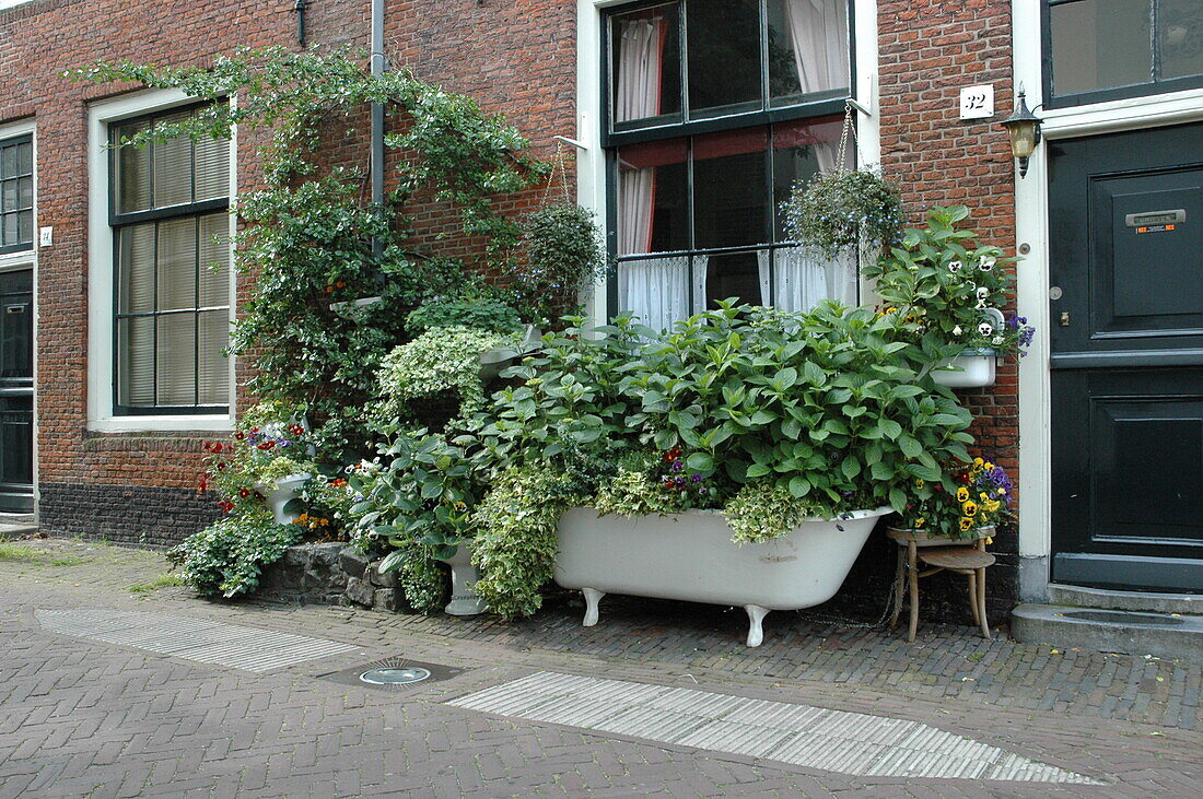 planted bathtub