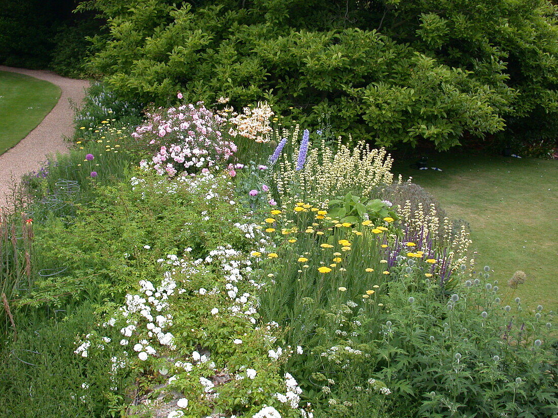 Perennial bed with roses