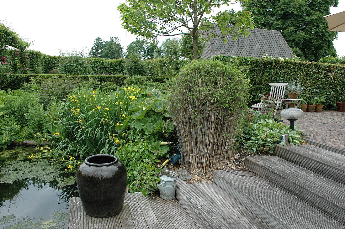Terrace and garden pond
