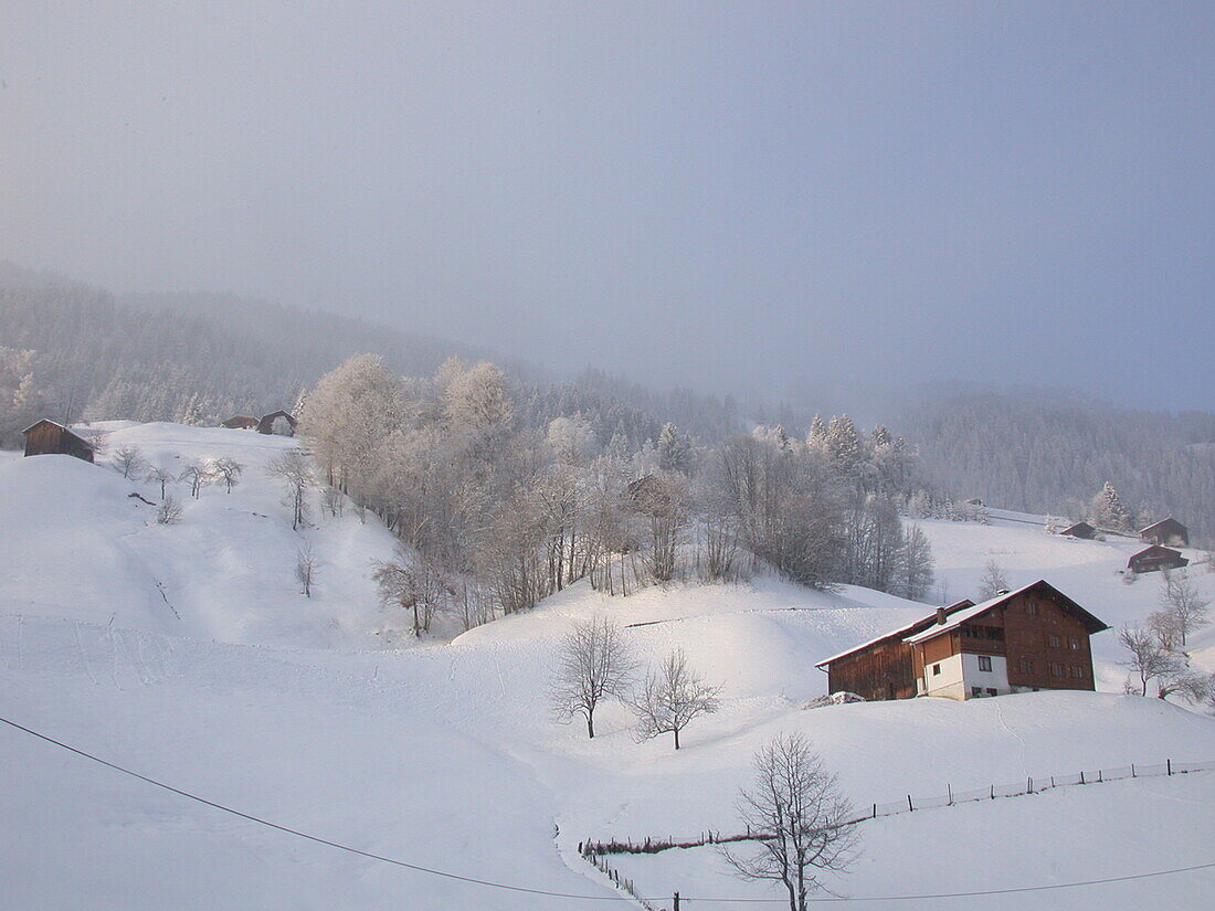 Winter landscape