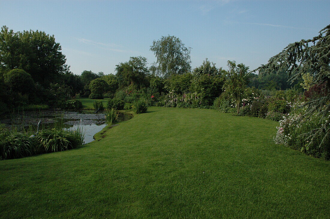 Lawn by the pond