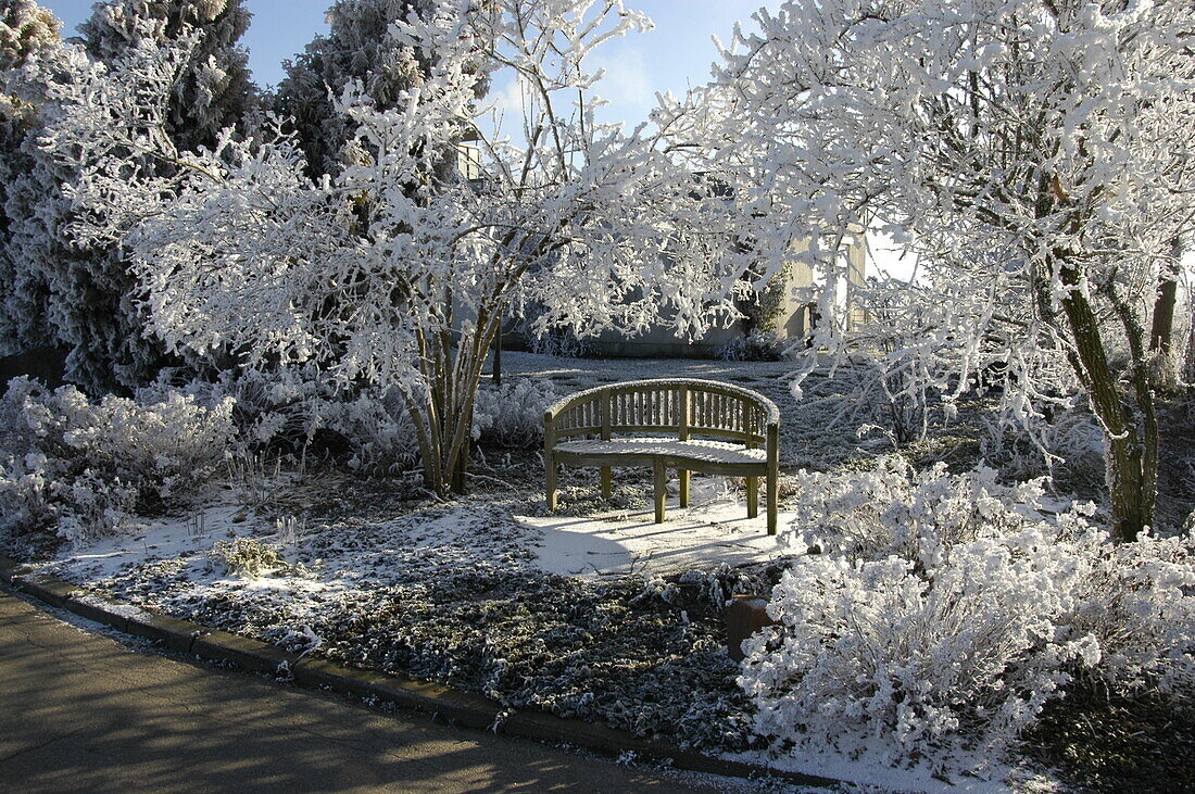 Bench in winter