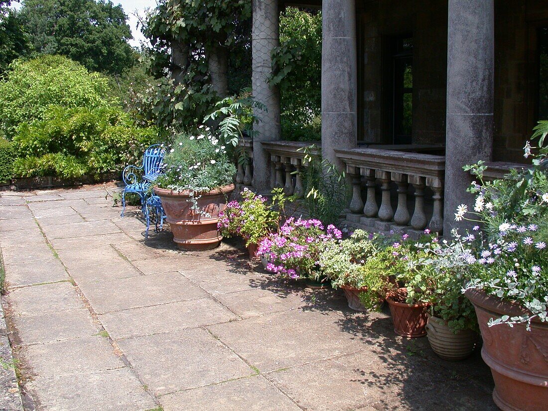 Terrace with tub plants