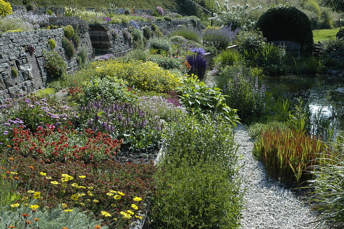 Terrace garden with perennials
