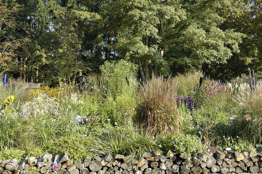 Perennial bed with ornamental grasses