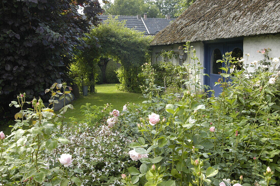 Gartenansicht mit Haus und Rosen