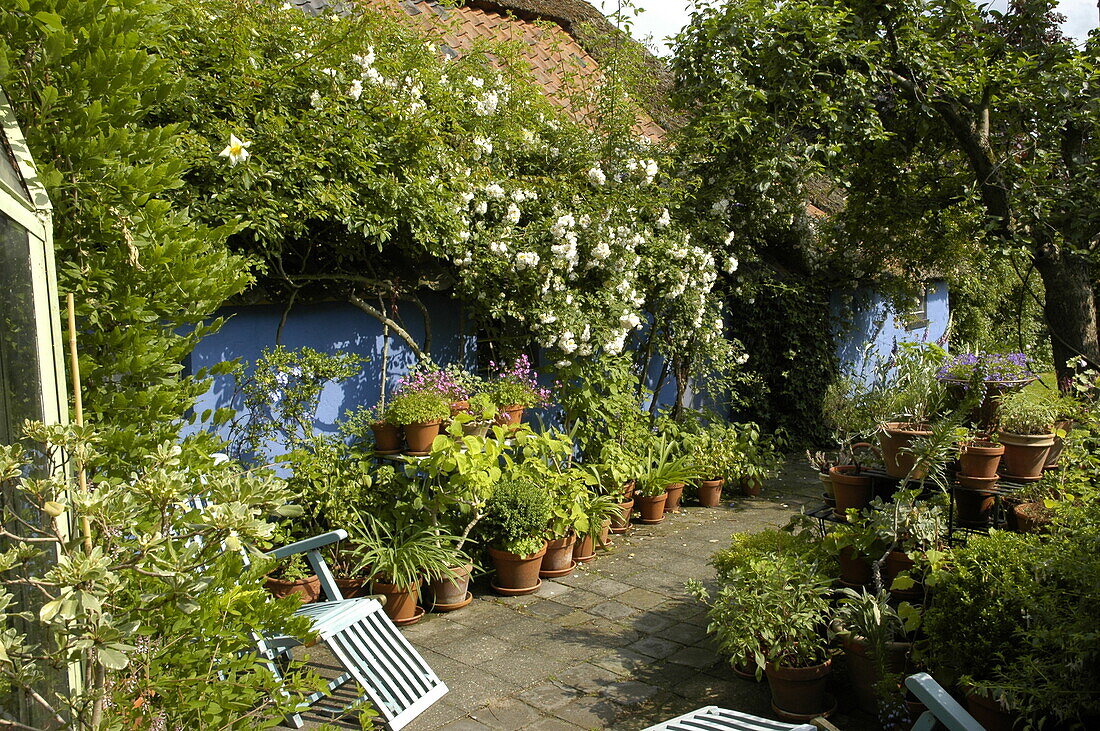 Terrasse mit Topfpflanzen