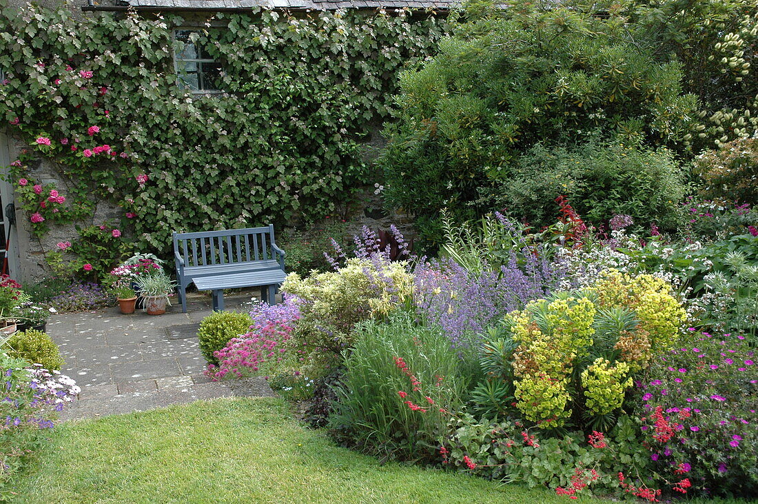 Bench in front of shrub bed