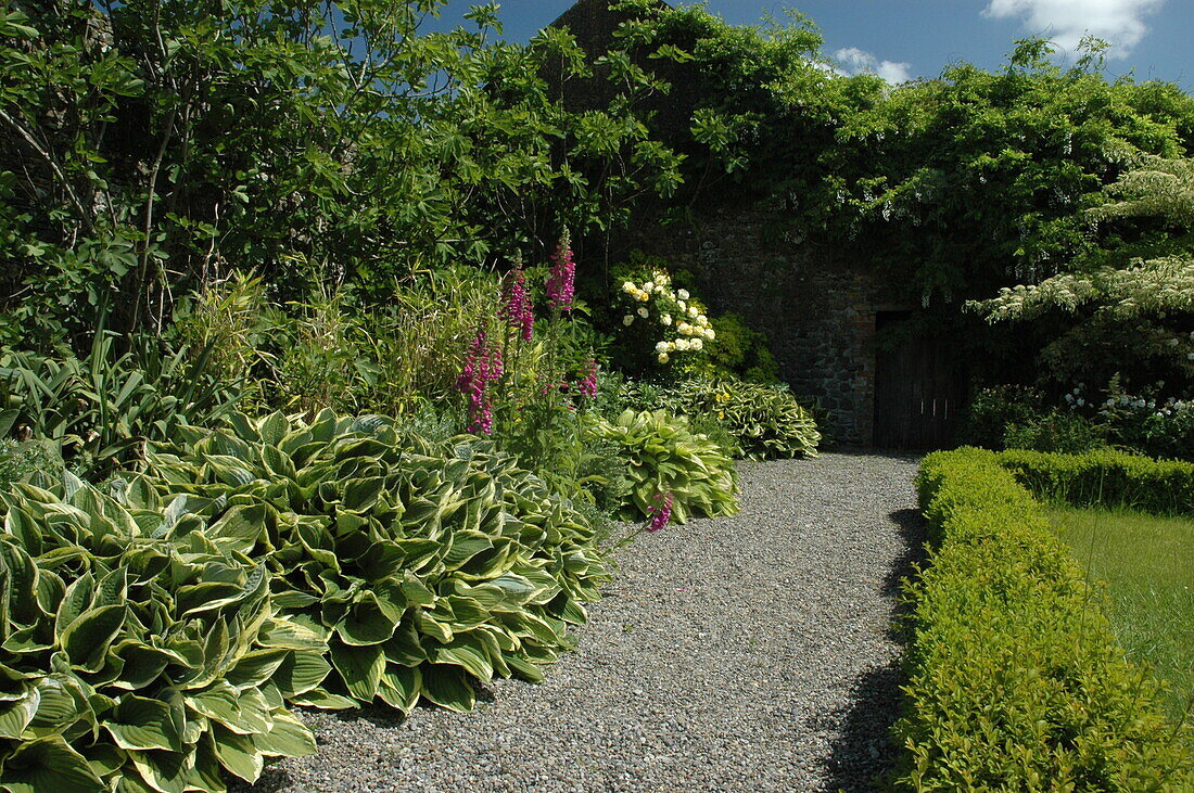 Garden view with gravel path