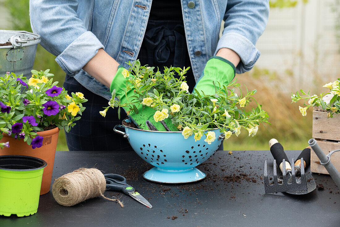 Upcycling - plant insert