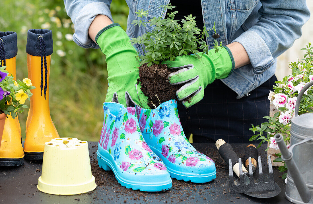 Upcycling - Plant in rubber boots