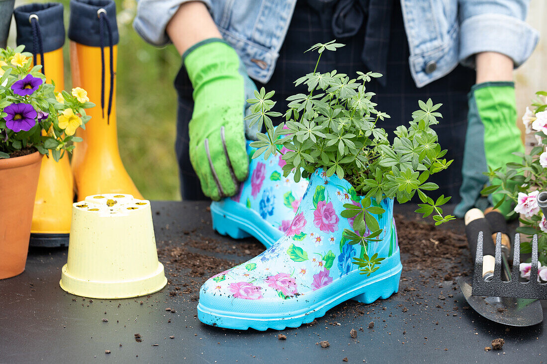 Upcycling - Woodruff into rubber boots