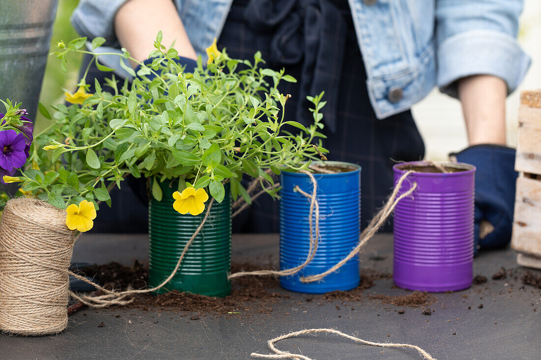 Upcycling - Plant in tin can