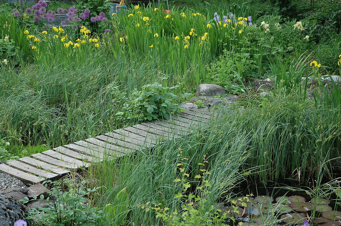 Holzbrücke über einen Teich