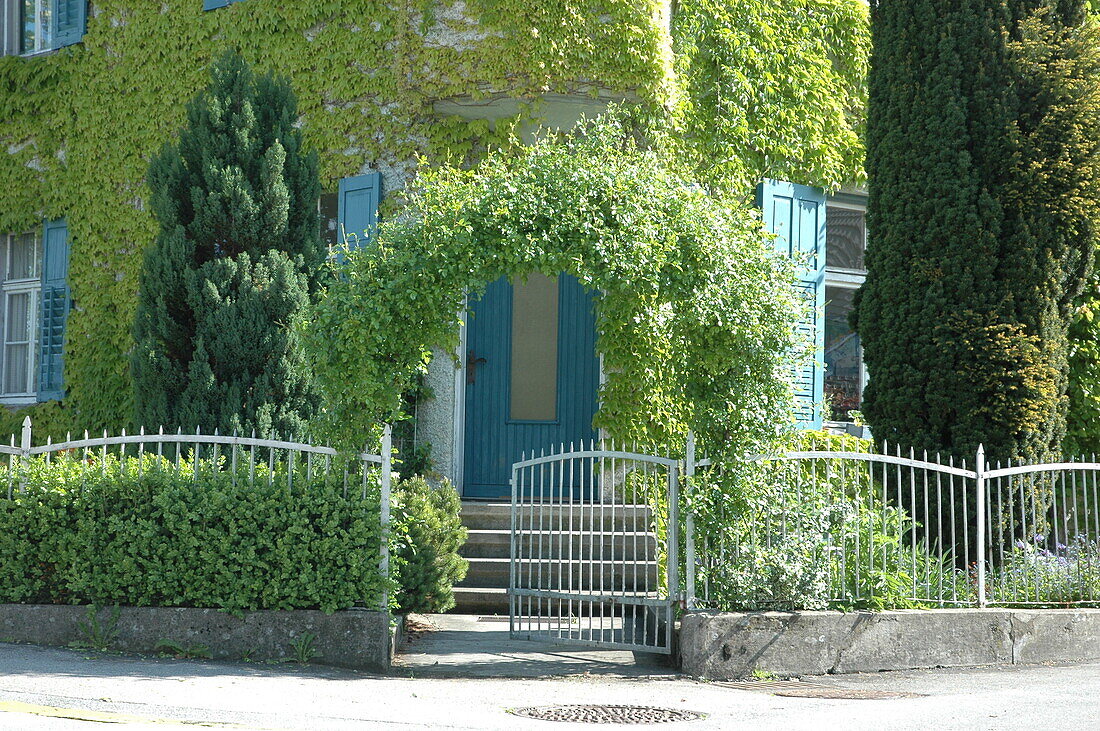 Entrance with climbing plants