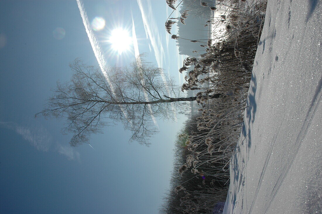 Winter landscape