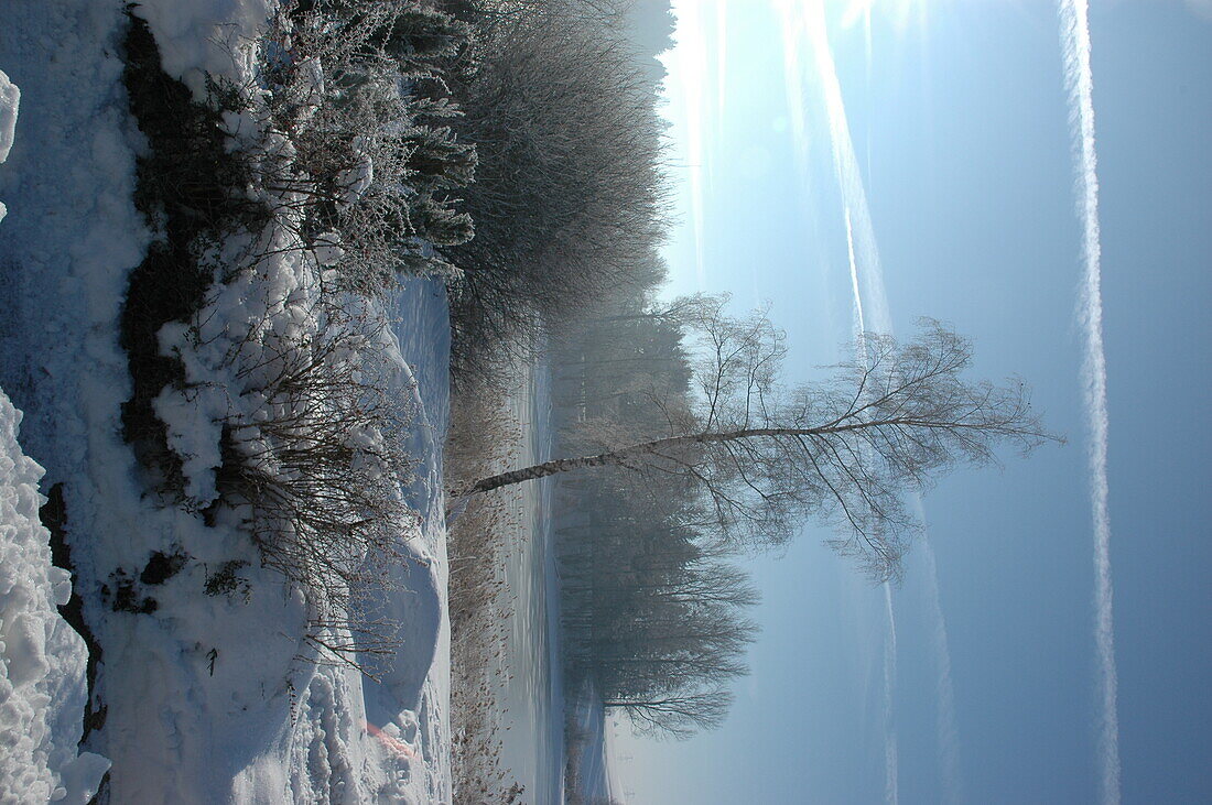 Winter landscape