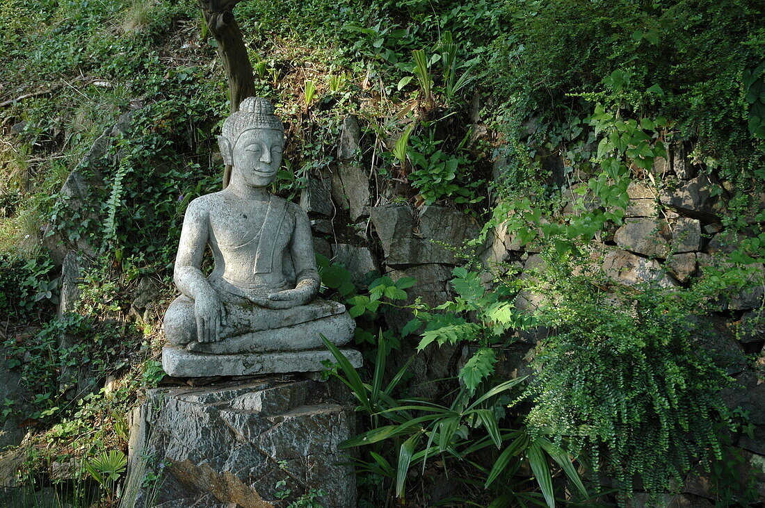 Buddha Statue