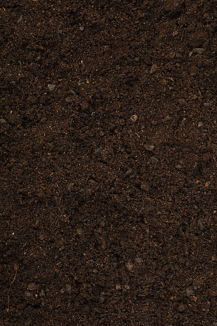 Soil for green plants and palms