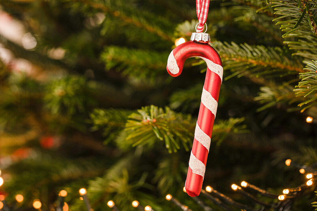 Candy cane