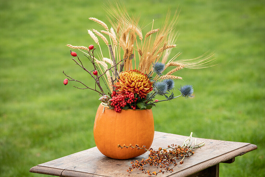 Thanksgiving - Autumn decoration