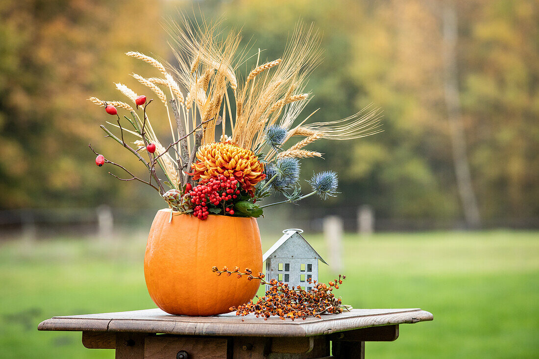 Thanksgiving - Autumn decoration